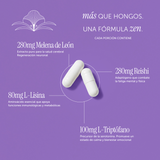 Subscription InmunoZen Fungi Blend (Reishi & Melena de León)