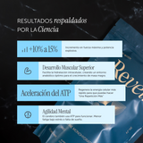 Subscription Pure Creatine Monohydrate 500g