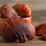 Subscription InmunoZen Fungi Blend (Reishi & Melena de León)